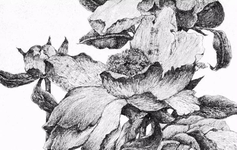 De ceci naissent les fleurs 1 · 由此生花 1